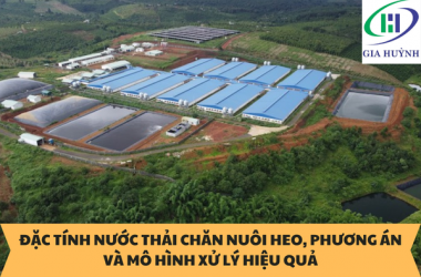 ĐẶC TÍNH NƯỚC THẢI CHĂN NUÔI HEO, PHƯƠNG ÁN VÀ MÔ HÌNH XỬ LÝ HIỆU QUẢ