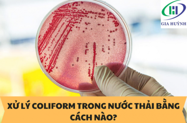 XỬ LÝ COLIFORM TRONG NƯỚC THẢI BẰNG CÁCH NÀO?