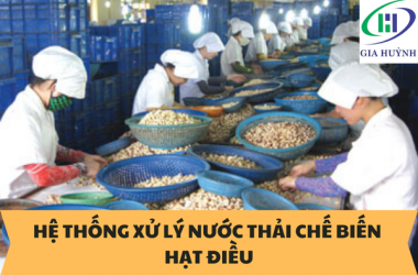 Hệ Thống Xử Lý Nước Thải Chế Biến Hạt Điều